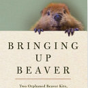 Bringing Up Beaver with John Aberth - logo